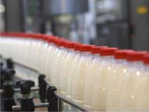 Продажа молока и молочных продуктов  оптом от производителя