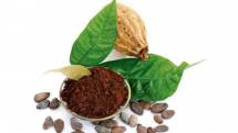 Продам продам какао-порошок натуральный / алкализованный оптом