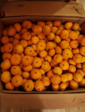 Абхазские мандарины оптом в Москве