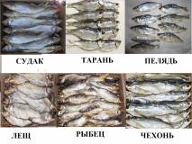 Рыба вяленая, рыба сушеная, сушёные морепродукты, мясо, орехи, весовые снеки, закуски к пиву