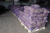 Картофель от производителя от 20 тонн