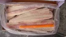 Требуется свежемороженная рыба: минтай, скумбрия нерка, сардина, треска