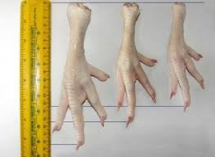 куриные лапки chicken paws кат А на экспорт hong kong только CIF