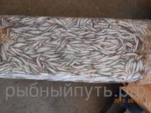 Килька шпрот бычок хамса анчоус оптом в Крыму