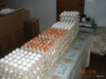 Реализуем куриное яйцо оптом С1, С2, оптом от 840 коробок