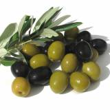 Оливки и маслины с/без кости S.S. MAMMOTH 70-90