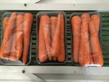 Продам морковь мытая урожай 2016 оптом