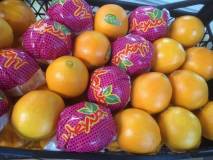 - Апельсины, сорт Навелина, Турция,  80+