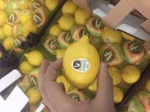 Лимоны,  Турция, 54-70, 