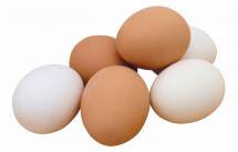 Продам яйцо куриное с0 с1 с2 с3 оптом