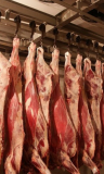 Мясо бык пол туши опт 230 руб/кг 2 фуры в неделю