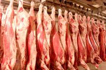 Требуется мясо говядина ч/т п/т 95+100 охлажденка, не тощак, объем 70 тн в неделю, на постоянной основе