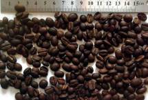Зерновой, молотый, растворимый кофе оптом от импортера