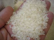 Рис, крупа рисовая ГОСТ и ТУ оптом со склада
