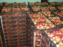 Яблоки калиброванные оптом со склада