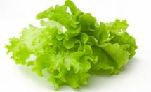  Свежая зелень: салат