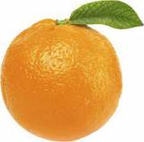 Продам: фрукты апельсин