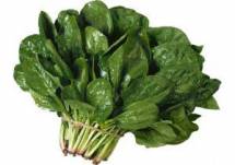 Продам  продам зелень - шпинат оптом