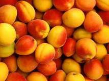 Продам: сухие  фрукты абрикос