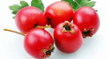Продам продам: замороженные  ягоды боярышник оптом
