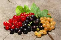 Продам замороженные ягоды - смородина черная оптом