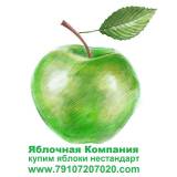 Куплю яблоки для переработки оптом