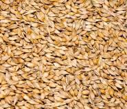 Требуется пшеница 3 класс клейковина 24 - 100 тн/мес. Цена 10 000 руб./т. (с НДС), 9 000 руб./т. 