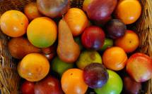 Требуется поставка фруктов на постоянной основе: яблоки, груши, апельсины, мандарины, лимон, грейпфрут, виноград , черешня