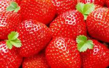 Продам: ягоды оптом клубника