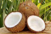 Молодой кокос - кокосовое масло