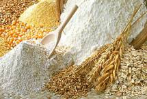 Прямые поставки: мука пшеничная твердых сортов