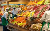 Покупаем фрукты и овощи в больших объемах опт 