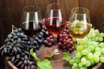 Нужен виноград около 200 кг винограда для вина и чачи.