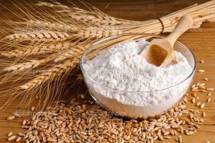Закупаем на постоянной основе муку пшеничную хлебопекарную в/с, 1 и 2 сортов ГОСТ 