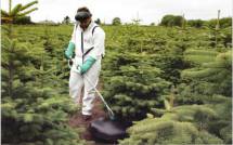 Садовый опрыскиватель ручной для борьбы с сорняками MICRON Herbidome 600