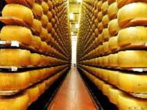 Ищу поставщика сыра в ассортименте для магазинов в Москве и по всей России для долгосрочной работы