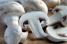 Продам грибы сушеные оптом
