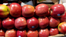 Отгрузка импортных яблок со склада