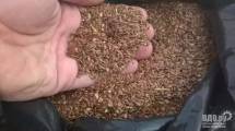 Нужны семена льна масличного, промышленное сырье (ГОСТ 10582-76)