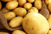 Куплю картофель продовольственный