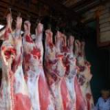 Ищу мясо туши говядины бычков 120-150 кг пол туши охлажденное оптом