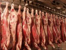 Ищу поставщика мяса говядина блочная баранина ягнята от 14-18 кг до полугода - от 3 тн. любые объемы