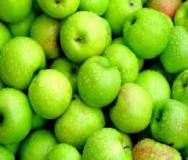 Закупаем зеленые яблоки различных сортов оптом