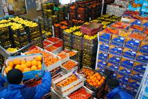 Требуется поставка фруктов и овощей крупным оптом, любых производителей на постоянной основе