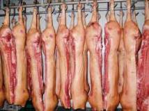 Закупаю на постоянной основе свинину и субпродукты свиные