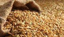 Требуется пшеница 3 класс - 200 тн. Интересует минимальная цена при данном объёме с учётом доставки