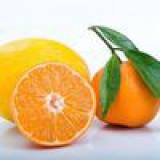 Продам: продаем  Апельсины