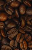 продаем кофе в зернах обжаренный оптом