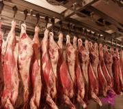 Требуются поставщики охлажденного мяса: баранина, свинина, говядина - от 20 тонн в неделю