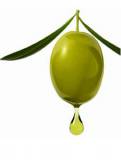 Масло оливковое оптом в бочках